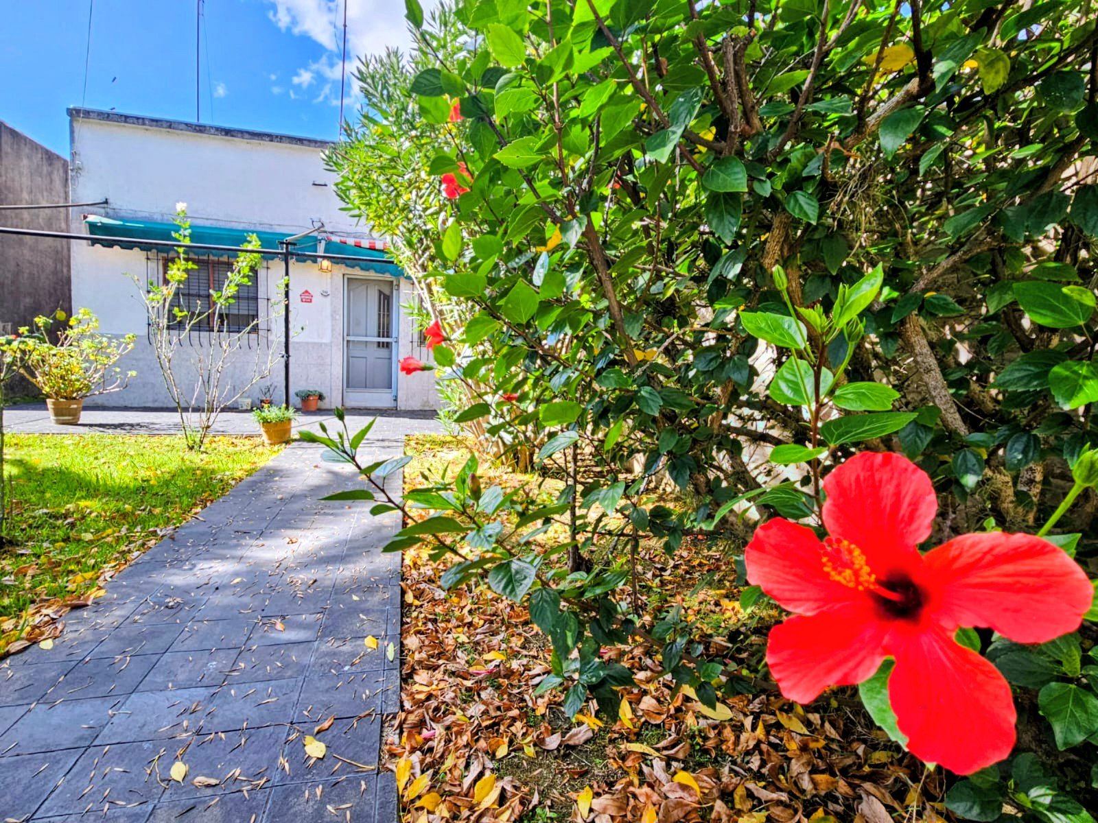 Casa en Dique Lujan Inmobiliaria Ginter Propiedades 8